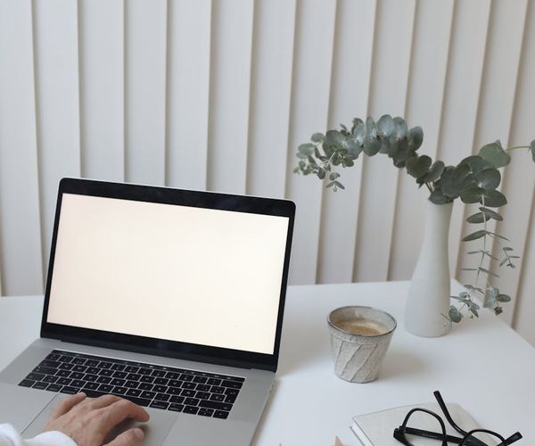 Calm person meditating at a clean desk with a plant.